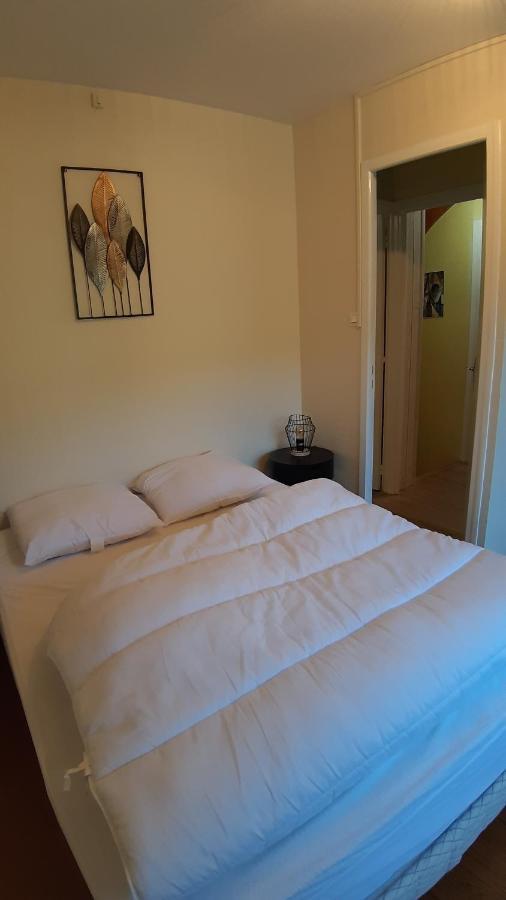 Maison 6-9 Pers Pour Vacances Et Cure Thermale Le Mont-Dore Extérieur photo