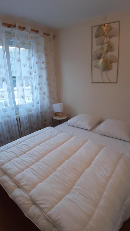 Maison 6-9 Pers Pour Vacances Et Cure Thermale Le Mont-Dore Extérieur photo